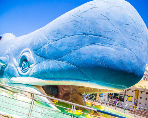 media.Balena_Melodie_al_Parco_Acquatico_Atlantica_Cesenatico_biglietti_ingresso_gratuiti_Vacanze_Club_Family_Hotel_Rimini_Village